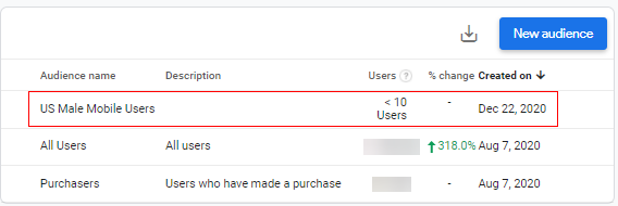 custom audience